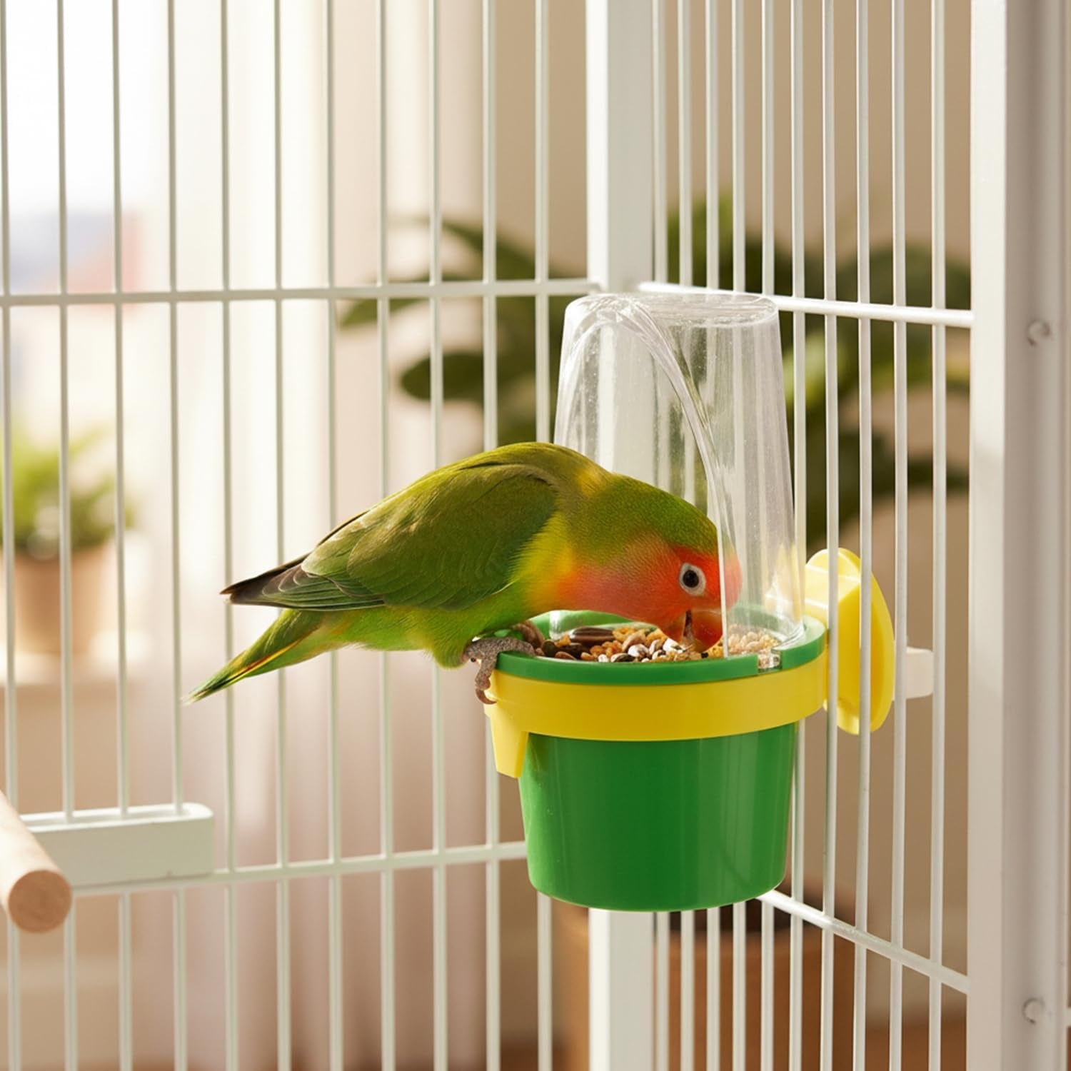 Pet Bird Cage Clean Cup Feeder & Water Cup Bird Accessory, Medium (Assorted Colors)